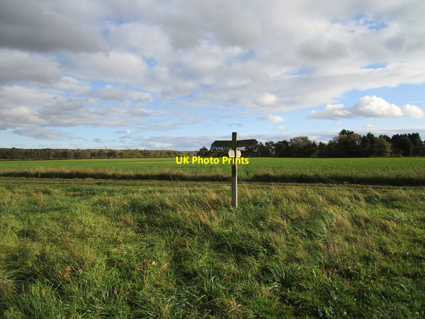 Photo 6"x4" Footpath crossing a bridleway at King's Hill Bardney c2020