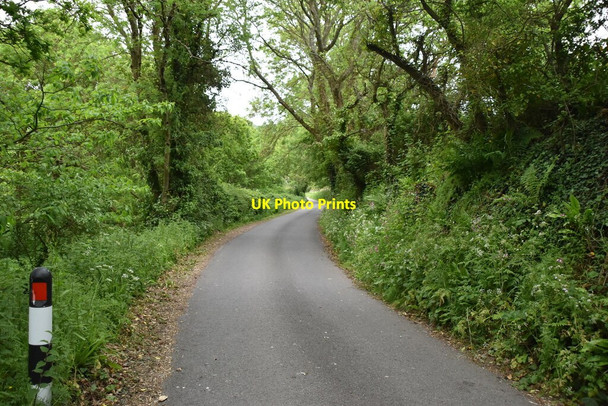 Photo 6"x4" Manor rd Ventnor c2019