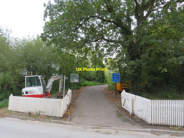 Photo 6"x4" Red Squirrel Trail, Cowes Cowes c2020