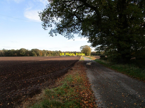 Photo 6"x4" Roadway to Nursery Farm Tumby c2020