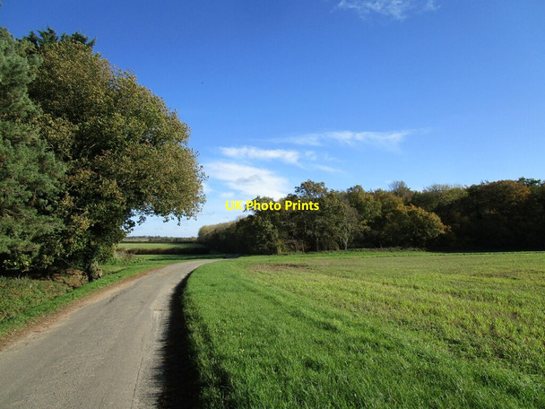 Photo 6"x4" Shelter belt, bridleway and Fulsby Wood Kirkby on Bain c2020