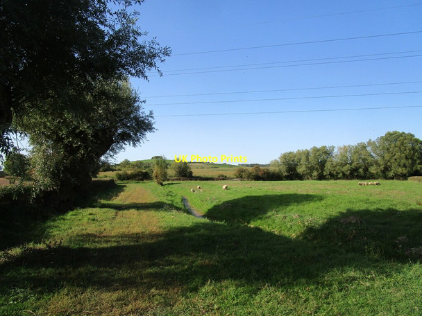 Photo 6"x4" Bridleway to Wickridge Street Hasfield c2020 P2