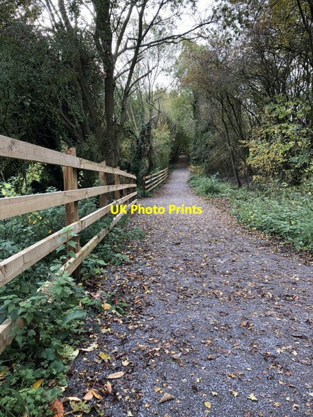 Photo 6"x4" New path to Hermitage Hampstead Norreys c2020
