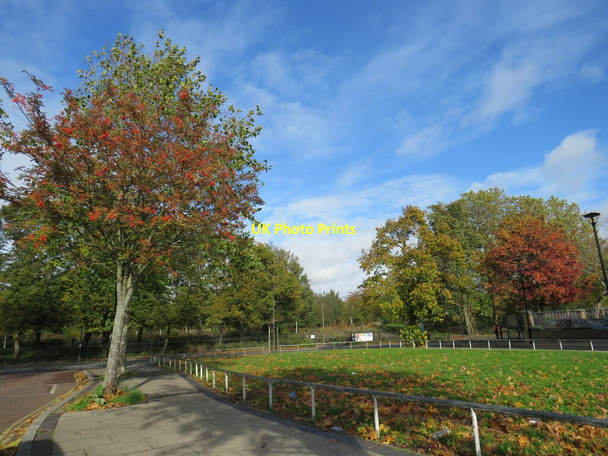 Photo 6"x4" Autumn colours on Chandler Way, North Peckham Camberwell c2020