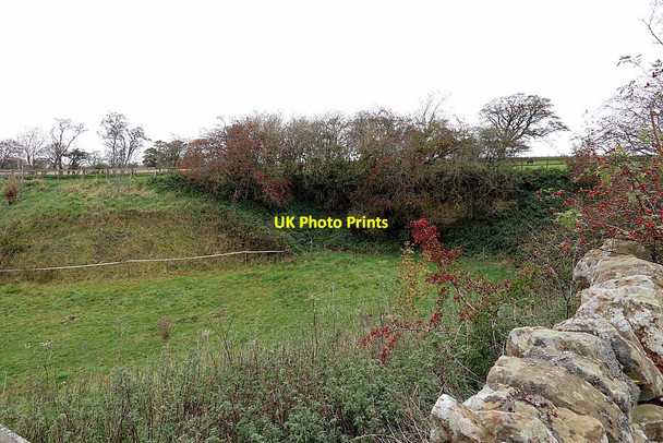Photo 6"x4" Old quarry at Sharpley Great Whittington c2020