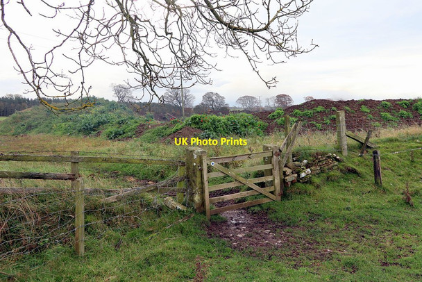 Photo 6"x4" Gate on bridleway near Bellway Quarry Great Whittington c2020