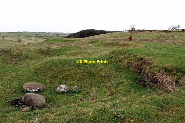 Photo 6"x4" Old quarry west of Grindstone Law Bingfield c2020