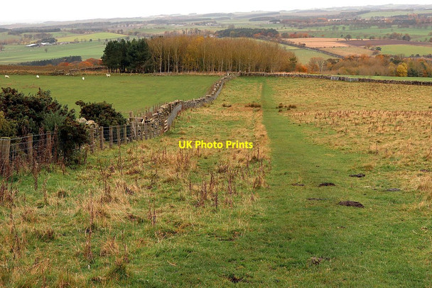 Photo 6"x4" Bridleway above Bingfield Bingfield c2020