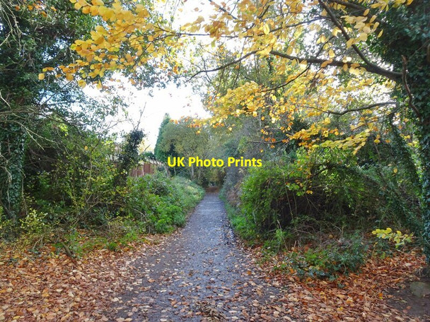 Photo 6"x4" Railway Path Ounsdale c2020