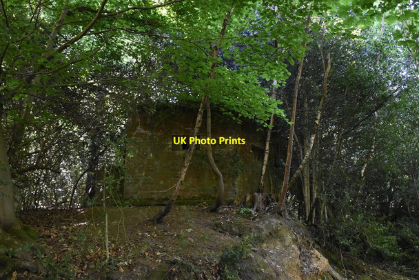 Photo 6"x4" Well hidden Pillbox Lower Green\/TQ6241 c2020