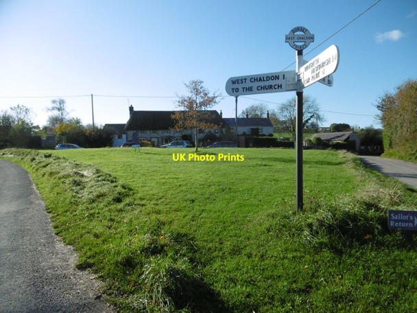 Photo 6"x4" East Chaldon, village green Chaldon Herring or East Chaldon c2020