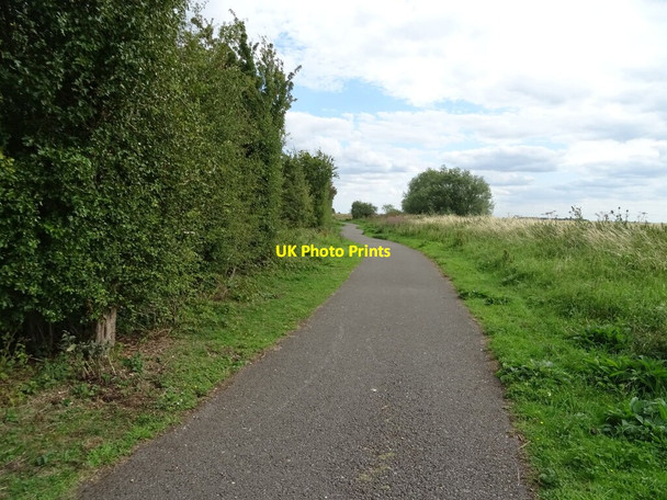 Photo 6"x4" National Cycle Route 1 Stixwould c2020