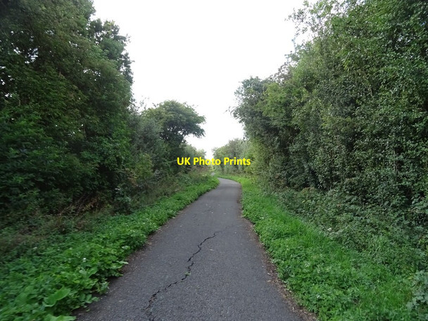 Photo 6"x4" National Cycle Route 1 Southrey c2020
