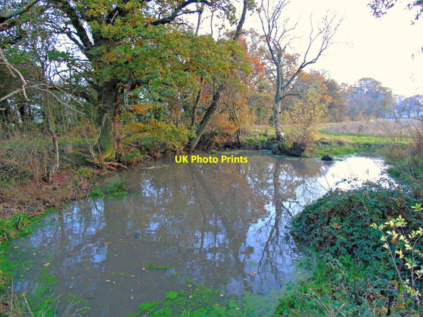 Photo 6"x4" Pond off Ridgeway Lane Bascote c2020
