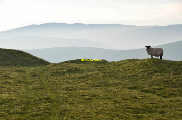Photo 6"x4" Inside the fort, Whiteside Hill Bordlands c2020