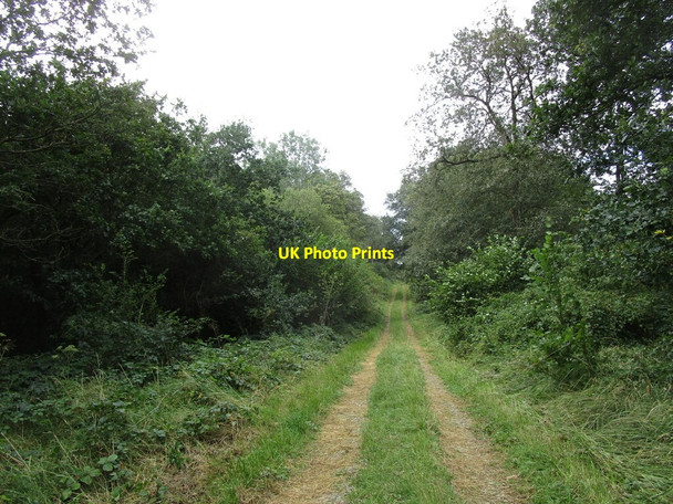 Photo 6"x4" Bridleway to Aldwincle Sudborough c2019 P1