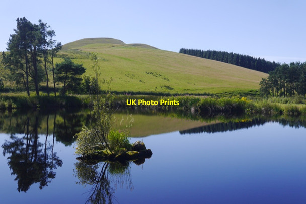 Photo 6"x4" Pond, North Slipperfield West Linton c2020