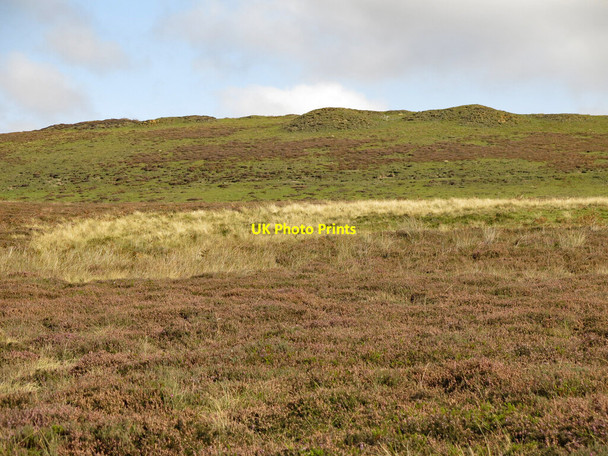 Photo 6"x4" Moorland below a disused quarry north of Round Hill Frosterley c2020