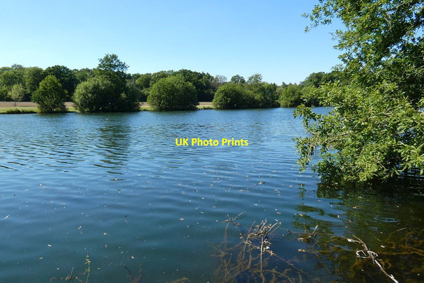Photo 6"x4" Ewhurst Pond, Baughurst Ramsdell c2020
