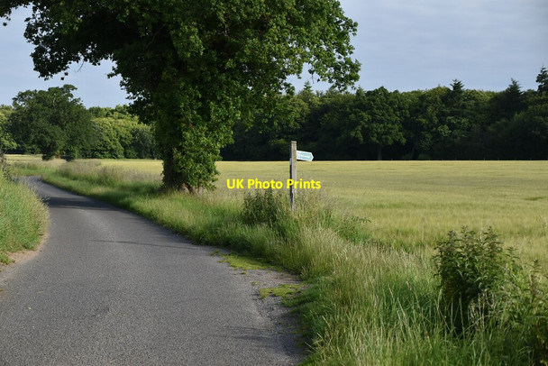 Photo 6"x4" Bridleway off Hyams Lane Holbrook\/TM1636 c2019