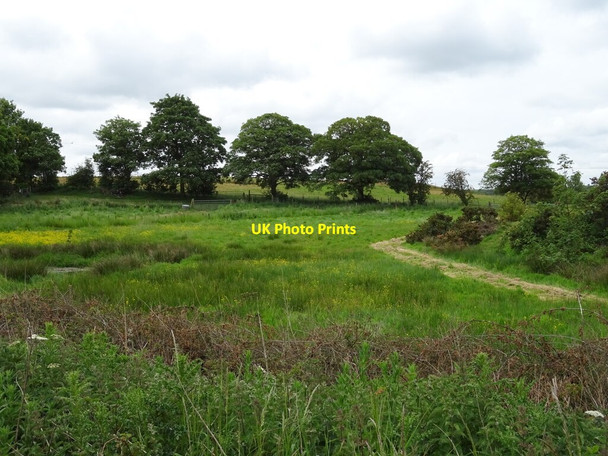 Photo 6"x4" Grazing and pond near Furze Farm Hagworthingham c2020