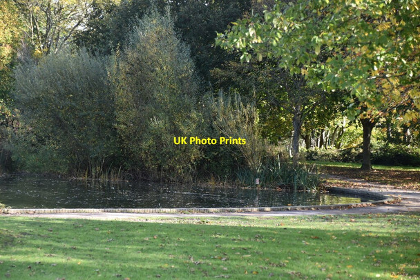 Photo 6"x4" Common Pond Hailsham c2019