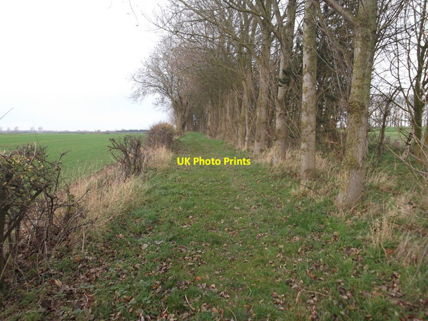 Photo 6"x4" Bridleway by Mount Pleasant North End\/TA1941 c2020