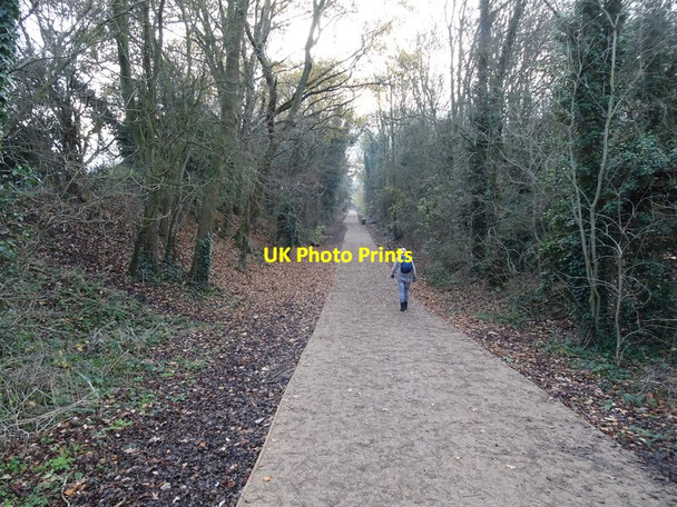 Photo 6"x4" Path Scene Castlecroft c2020