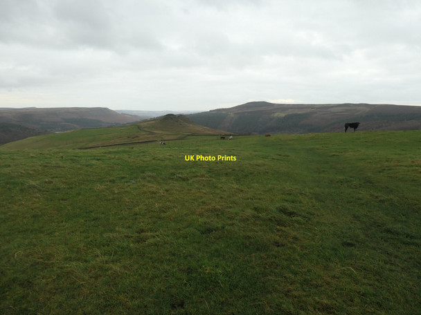 Photo 6"x4" Cattle grazing on Bridge-end Pasture Edale End c2020
