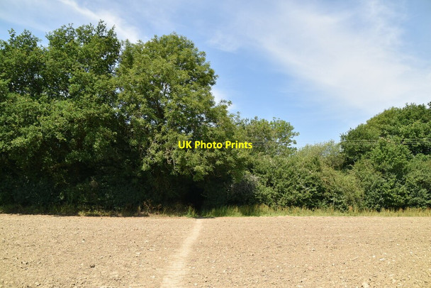 Photo 6"x4" Bridleway into the woods Crowhurst Lane End c2020