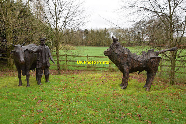 Photo 6"x4" Cattle sculptures, Mountjoy Forest East Division Omagh c2020
