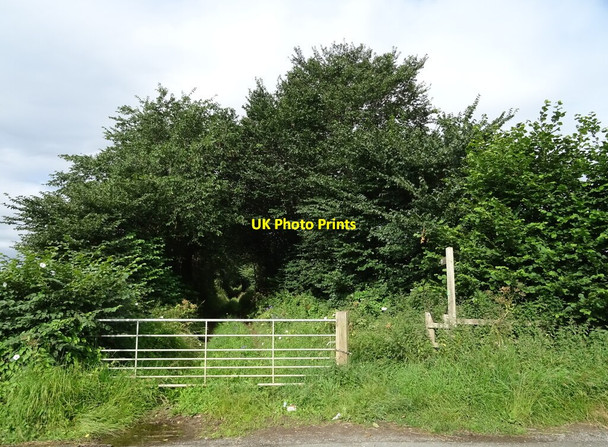Photo 6"x4" Farm track (bridleway) off Low Street Great Fencote c2020