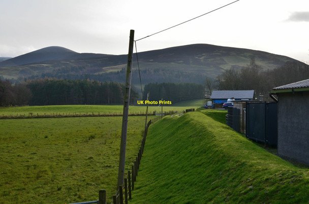 Photo 6"x4" Old railway embankment, Rachan estate Drumelzier\/NT1334 c2020