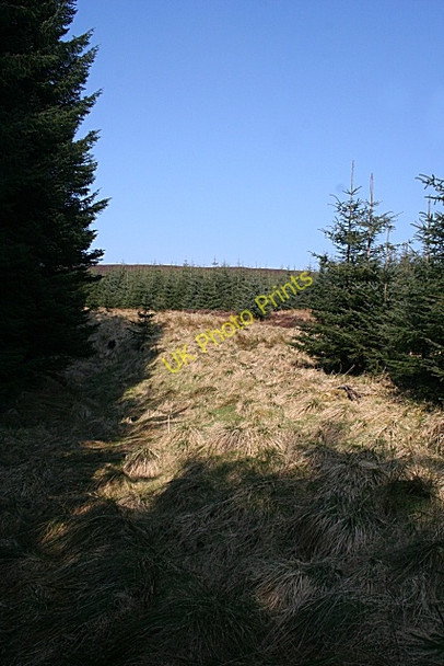 Photo 6"x4" Muckle Long Hill Craigend Hill\/NJ4534 c2009