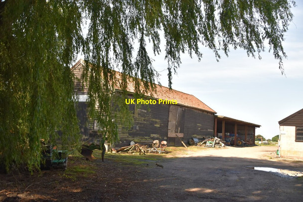 Photo 6"x4" Pond Hall Farm Tattingstone c2019