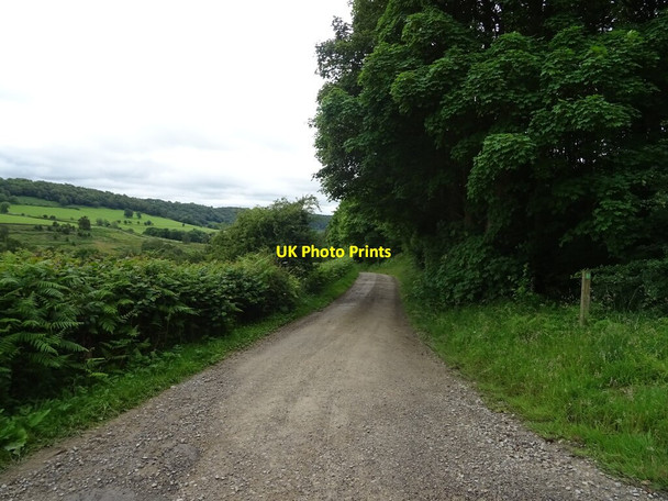 Photo 6"x4" Track (bridleway) off Cowhouse Bank Carlton\/SE6086 c2020
