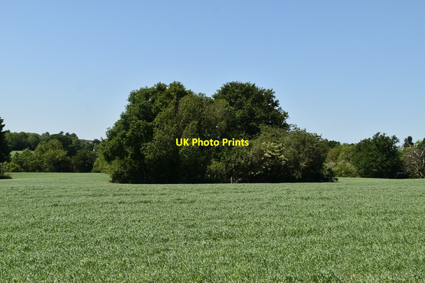 Photo 6"x4" Wooded pond Pullington c2020