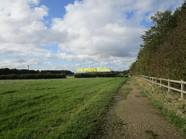 Photo 6"x4" Bridleway to Thrumpton Gotham\/SK5330 c2019