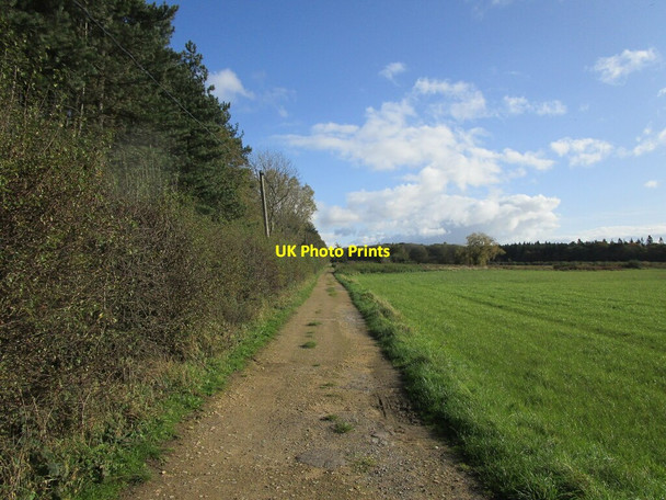 Photo 6"x4" Bridleway to East Leake Gotham\/SK5330 c2019