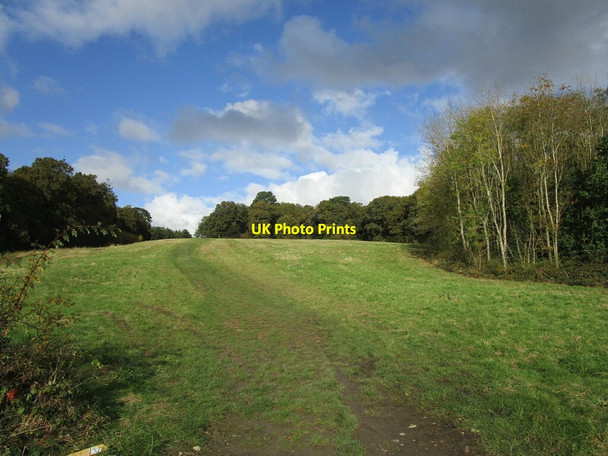 Photo 6"x4" Bridleway to Cuckoo Bush Farm New Kingston c2019