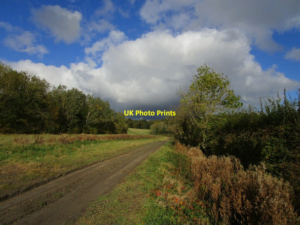 Photo 6"x4" Bridleway to Cuckoo Bush Farm New Kingston c2019 P1