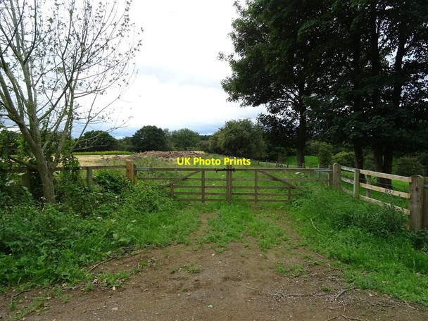 Photo 6"x4" Gated farm track near Kirkdale Cave Welburn\/SE6884 c2020
