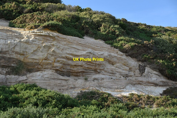 Photo 6"x4" Bioturbidation, East Cliff Bournemouth c2019