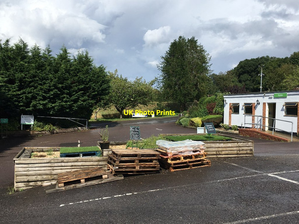 Photo 6"x4" Basingstoke Garden Centre North Waltham c2020