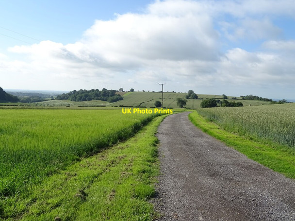 Photo 6"x4" Track (bridleway) to Whincover Farm Oulston c2020