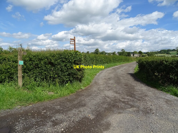 Photo 6"x4" Track (bridleway) to Skew Green Farm Carlton Husthwaite c2020