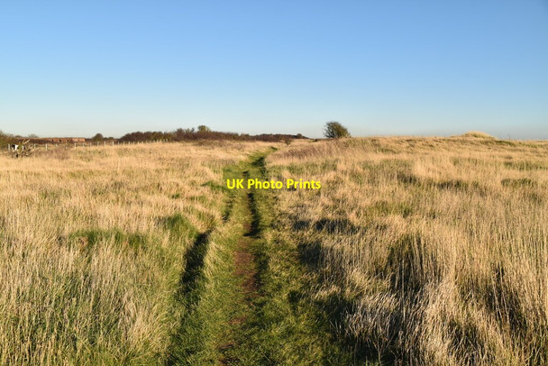 Photo 6"x4" Saxon Shore Way Church Hougham c2019