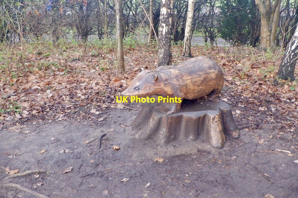 Photo 6"x4" Badger sculpture, Stanedykehead Kaimes\/NT2668 c2020