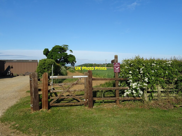 Photo 6"x4" Track (bridleway), Brandrith Farm Ganthorpe c2020