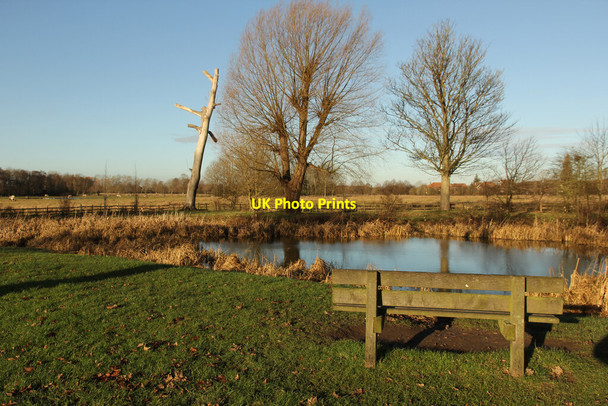 Photo 6"x4" Ornamental Pond Lincoln c2020